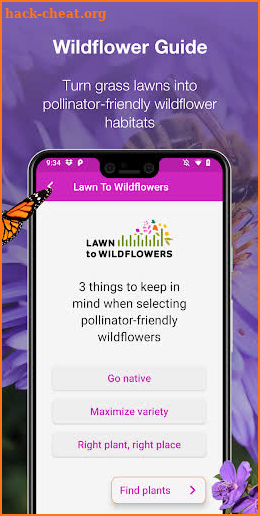 Lawn to Wildflowers screenshot