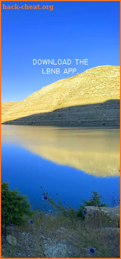 LBNB screenshot