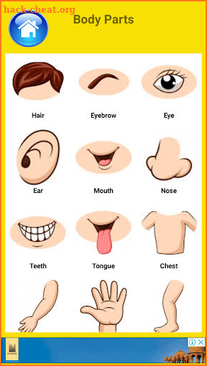 Learn Body Parts in English screenshot