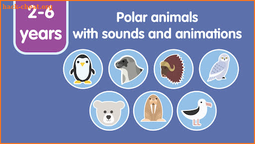 Learn Polar Animals for kids screenshot