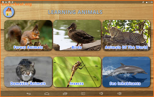 Learning  Animals screenshot