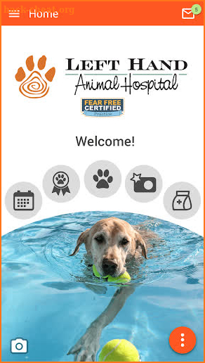 Left Hand Animal Hospital screenshot