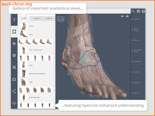 Leg and Foot: 3D RT - Sub screenshot