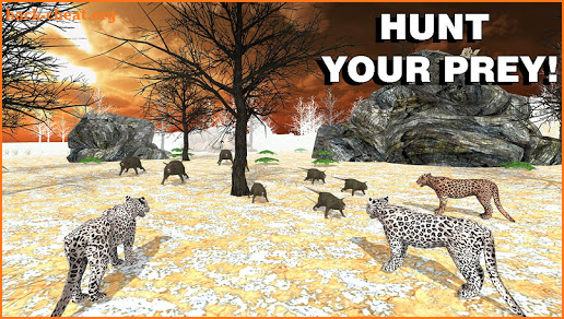 Leopard Family Simulator screenshot