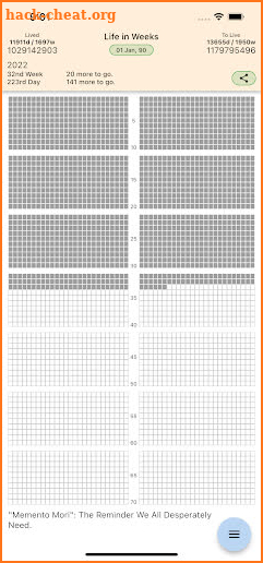 Life Calendar - Life in Weeks screenshot
