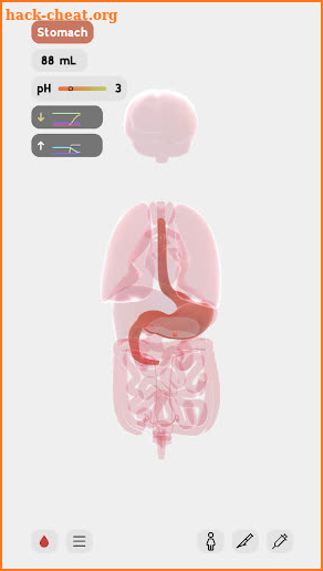 LIFE - Experiment with human body screenshot