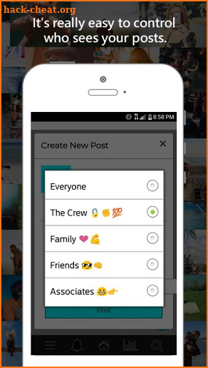 Lifelike: A Social Network screenshot