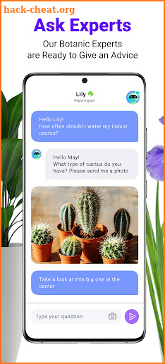 Lily - Plant Identification screenshot
