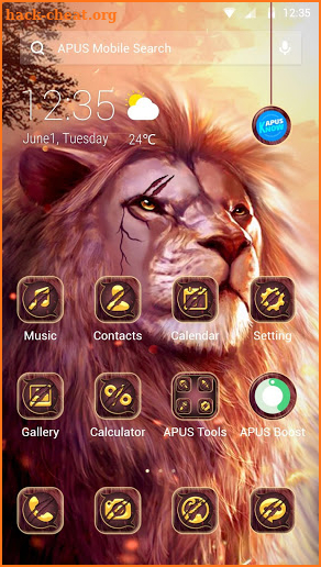 Lion APUS Launcher Theme screenshot