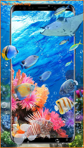 Lively Aquarium Fish Theme screenshot