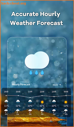 Local Weather screenshot