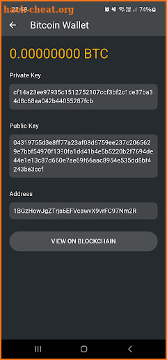 Lost Bitcoin Wallet Finder screenshot