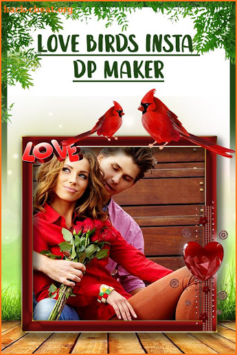 Love Bird Photo Frames screenshot