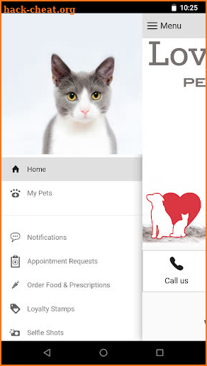 Loving Care Pets screenshot