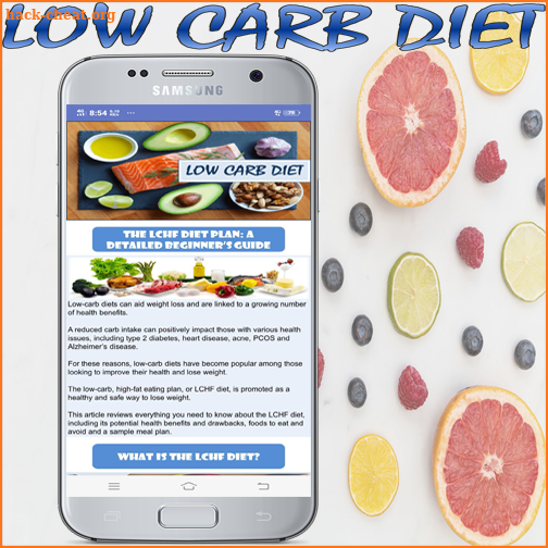 Low Carb Diet Plan Beginner screenshot