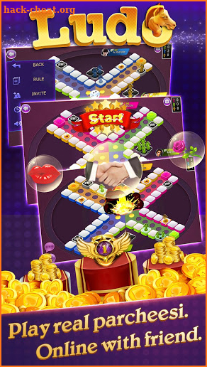 Ludo Burma screenshot