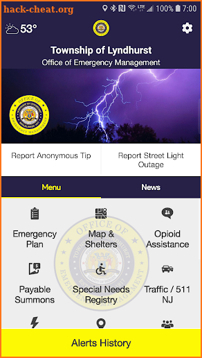 Lyndhurst Township OEM screenshot