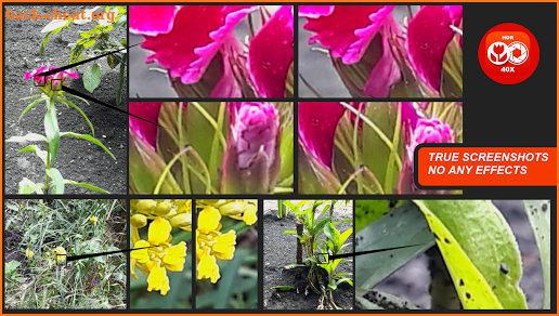 Macro Photography Camera Live 40x Zoom screenshot