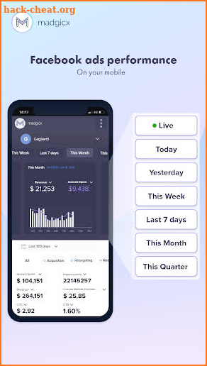 Madgicx for Facebook Ads screenshot