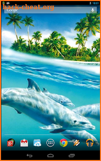 Magic Touch: Dolphins screenshot