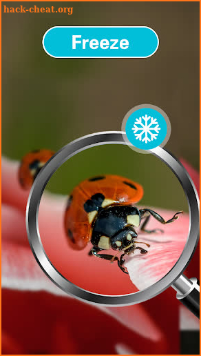 Magnify Glass - Magnifier Ware screenshot