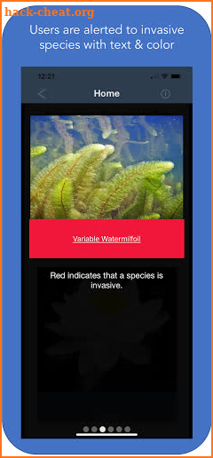 Maine Field Guide to Aquatic Phenomena screenshot