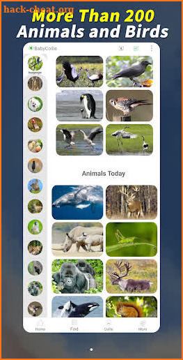 Man-machine Animal: 200 Birds and Animals screenshot