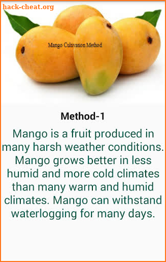 Mango Cultivation Method screenshot