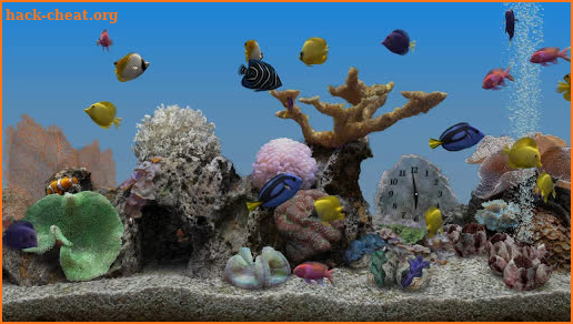 Marine Aquarium 3.3 screenshot