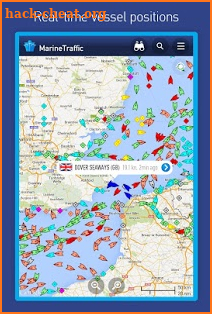 MarineTraffic ship positions screenshot