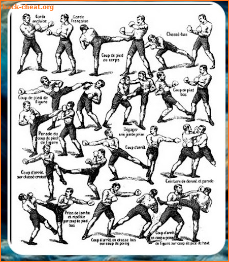 martial arts techniques screenshot