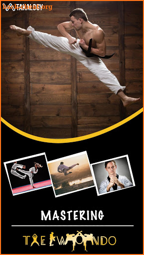 Mastering Taekwondo - Get Black Belt at Home screenshot