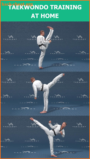 Mastering Taekwondo - Get Black Belt at Home screenshot