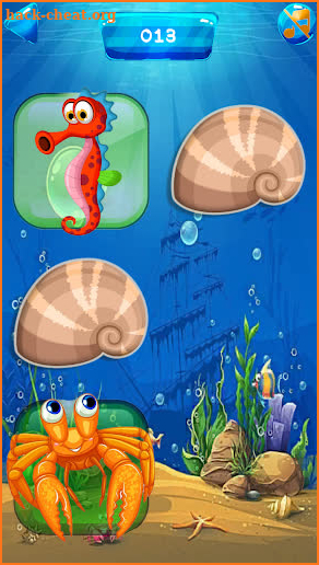 Matching Game - Sea life 🐬🐳 screenshot