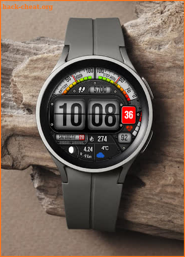 MB297 Digital Watch Face screenshot