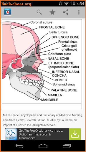 Medical Dictionary by Farlex screenshot