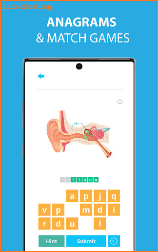 Medical Terminology Learning Quiz - Anatomy screenshot