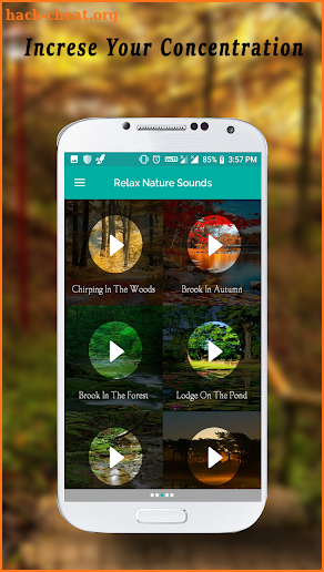 Meditation Music - Relax Sounds screenshot