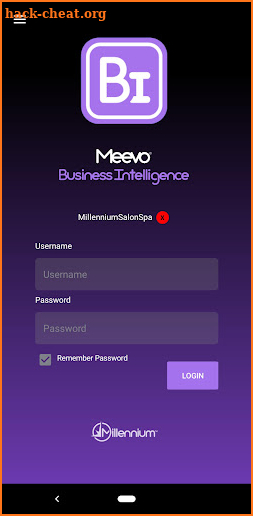 Meevo Business Intelligence screenshot