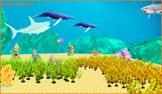 Mega Sharks 3d  : Shark Games screenshot