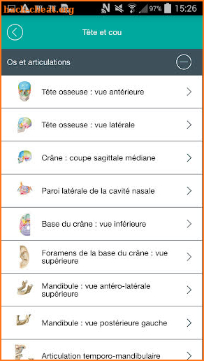 Mémofiches Anatomie Netter screenshot