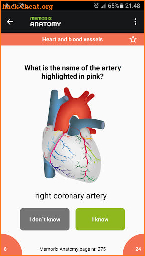 Memorix Anatomy QUIZ screenshot