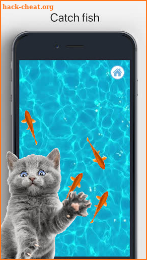 Meow - Cat Toy Games for Cats screenshot