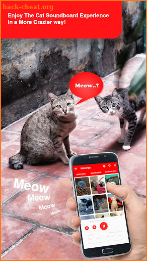 MeowApp - Cute Cat Sound App screenshot