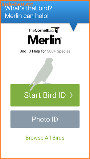 Merlin Bird ID by Cornell Lab of Ornithology screenshot