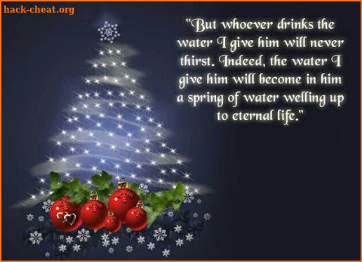 Merry Christmas Quotes screenshot