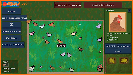 Mignon: Chicken Racing League screenshot