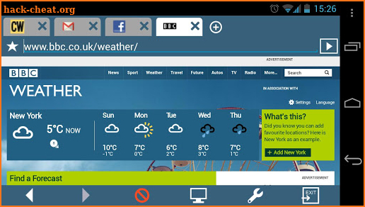 MiniBrowser PRO screenshot