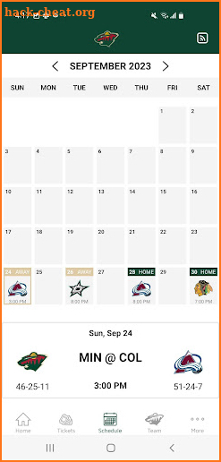 Minnesota Wild screenshot