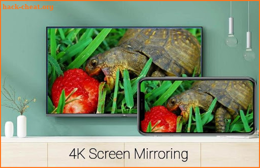 Miracast For Android to TV screenshot